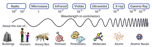 A cartoon chart showing wavelengths and relative sizes compared to buildings, humans, bees, pinheads, atoms, and so on.