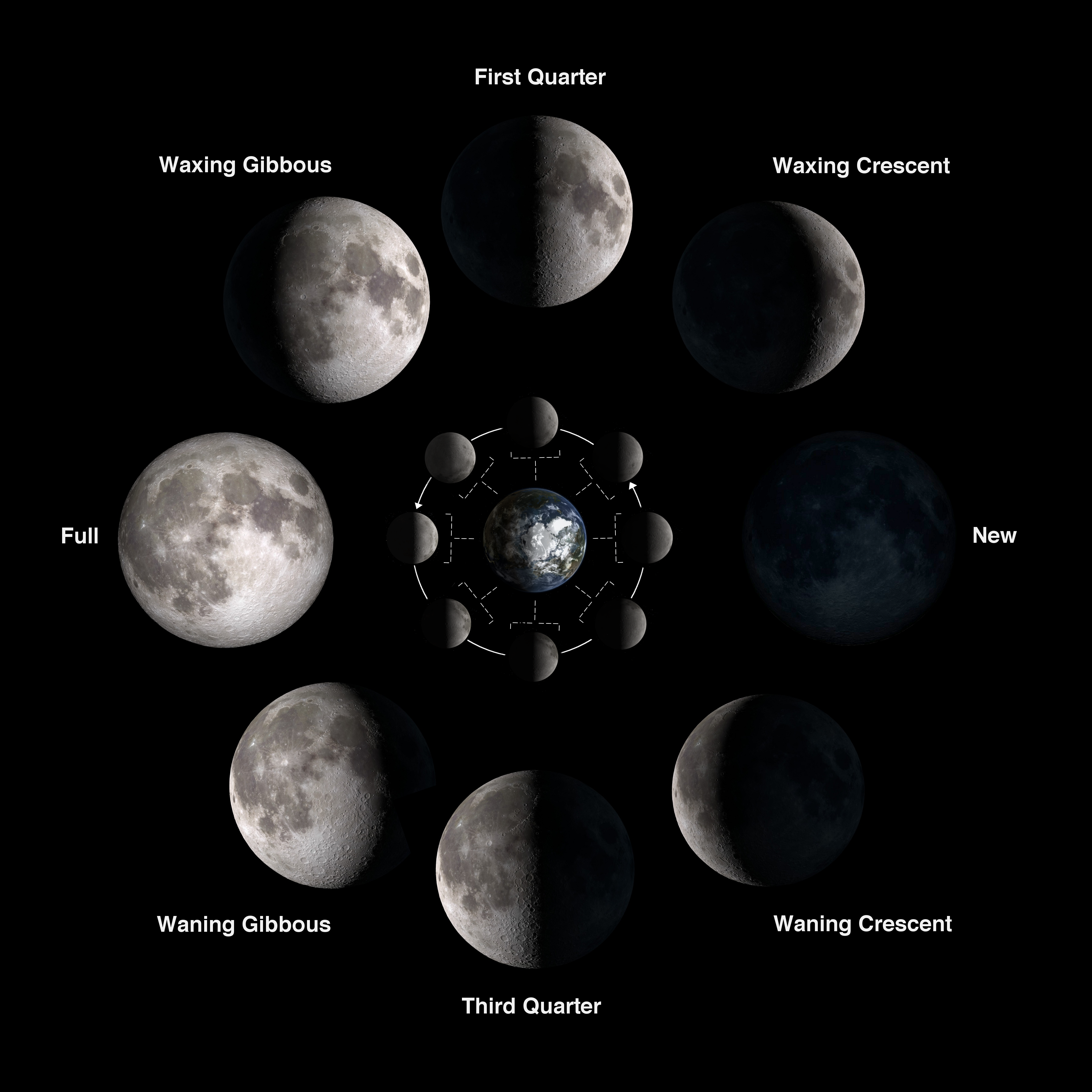 The Phases of the Moon shown next to their location around Earth relative to the Sun