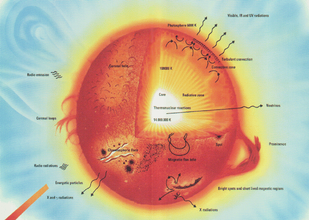 structure of the sun with labels